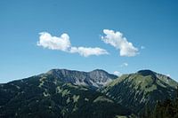 De Tiroler Alpen