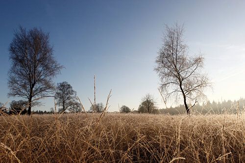 Deelense was in de winter