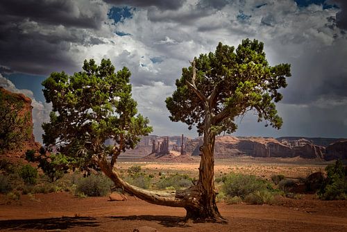 Mystery Valley sur Peter Bongers