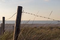 View on the beach