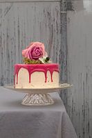 Cake! Make every day a party.