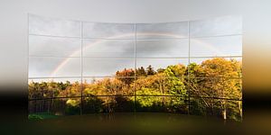 Regenbogen