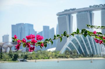 Singapore von Hans Lunenburg