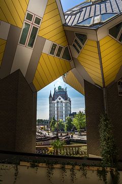 Cube Houses &amp ; Maison Blanche sur Prachtig Rotterdam
