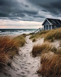 Stormy day at the beach
