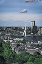 Skyline Rotterdam in groen en wit van vedar cvetanovic thumbnail