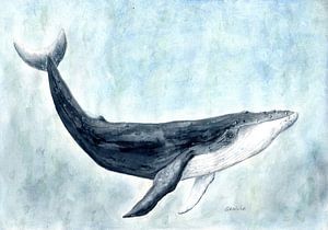 Whale by Sandra Steinke