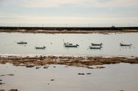 Boats in the water by Ron van der Meer thumbnail