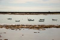 Boats in the water