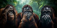 Three Wise Monkeys (Orangutans)