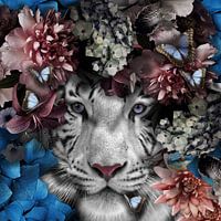Tijger