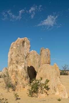 Nambung National Park, West-Australië van Alexander Ludwig