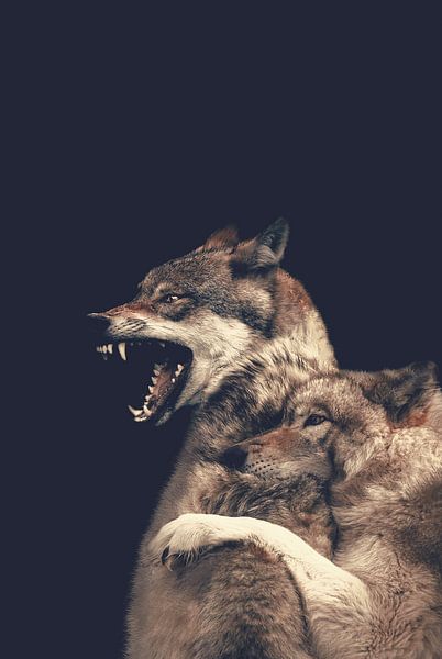 Protective wolf - Liefdeskoppel van twee wolven van Designer