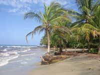 Strand in Costa Rica met palmbomen
