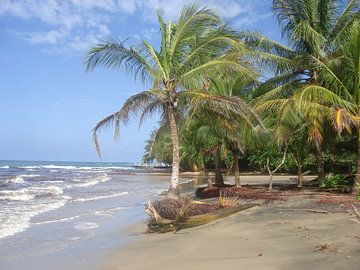 Strand in Costa Rica met palmbomen van Andre Wilkens