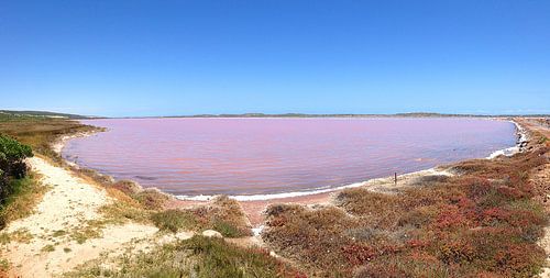 Pink Lake Australien