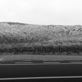 'On the road and lost' by Geert Van Baelen