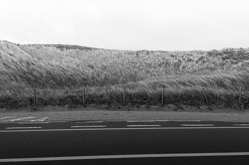 'Onderweg en verdwaald'