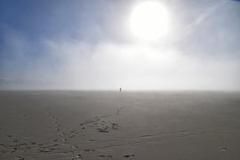 Ein fast leerer Strand von Erik Buitenhuis