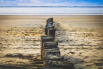 The breakwaters on Ameland's beach by Lizanne van Spanje