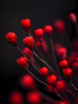 Rode kleine bloemen van haroulita