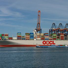 OOCL Japan containerschip. van Jaap van den Berg