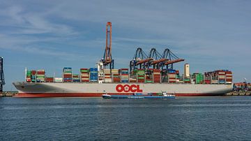 OOCL Japan container ship. by Jaap van den Berg