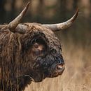 Portrait d'un Highlander écossais par Menno Schaefer Aperçu