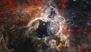 Tarantula Nebula sur NASA and Space