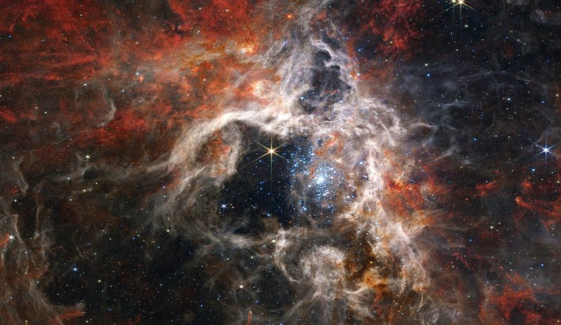 Tarantula Nebula by NASA and Space