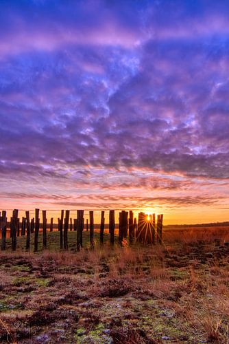 Sonne zwischen den Polen (stehend)