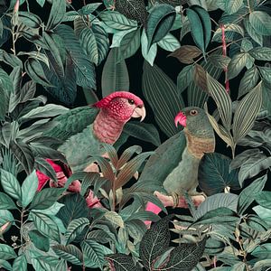 Parrots Jungle Paradise von Andrea Haase