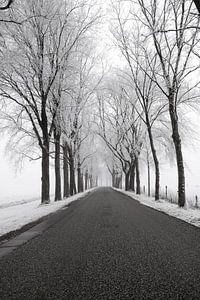 Country road through a frozen wintry landscape