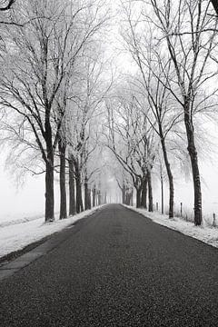 Landstraße durch eine gefrorene Winterlandschaft während eines kalten Wintermorgens von Sjoerd van der Wal Fotografie