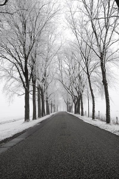 Route de campagne à travers un paysage hivernal gelé pendant un froid matin d'hiver par Sjoerd van der Wal Photographie