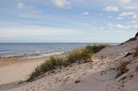 Spring on the Baltic Sea by Ostsee Bilder thumbnail