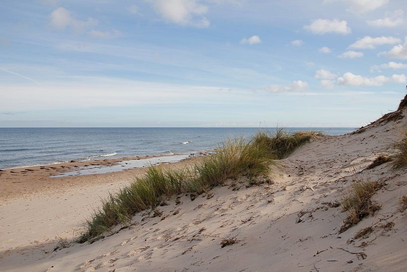 Spring on the Baltic Sea by Ostsee Bilder