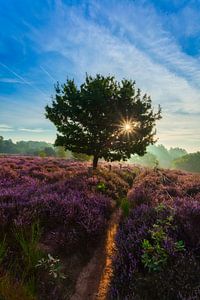 Posbank - Nederland