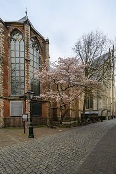 Pieterskerk in Leiden von Peter Bartelings