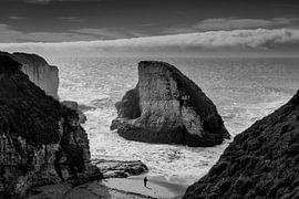 Shark Fin Cove - Davenport by Keesnan Dogger Fotografie