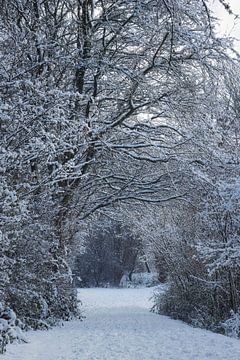 Westerpark in the snow by Ellen Weidenaar