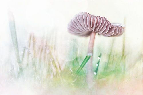 In between by Bob Daalder