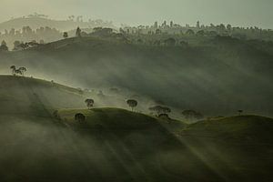 Matin brumeux sur Ellis Peeters