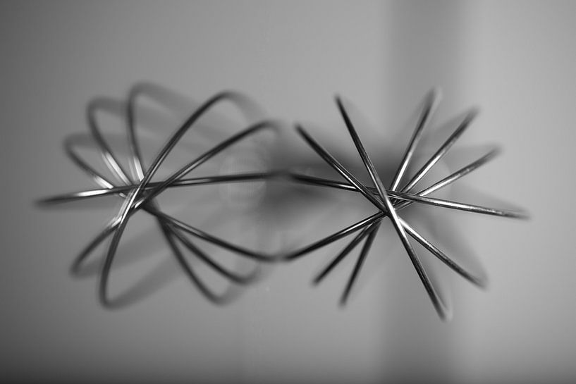 whisk mirror by Danny van houtum