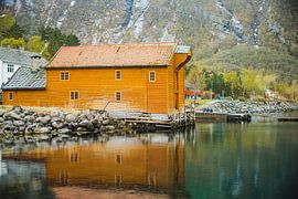 The wooden house by Jan Medema