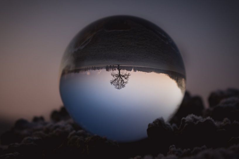 Little tree captured crystal ball dark & moody van Sandra Hazes