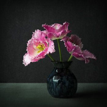 Roze tulp, in de stijl van de Oude Meesters