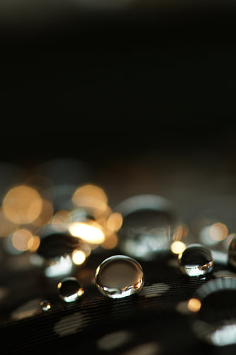 Golden Drops II by Carla Mesken-Dijkhoff