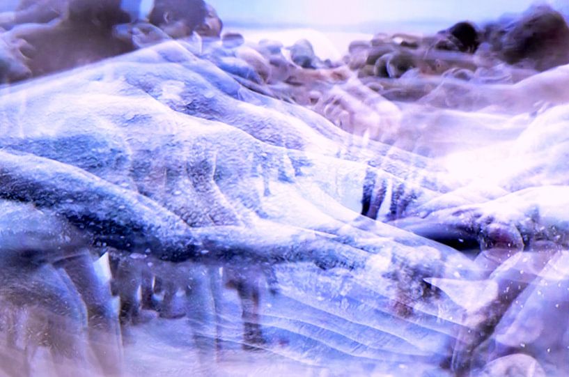 movement par Wilma Eisenga