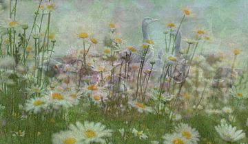 Abstracte fotografie | Abstract expressionisme | Ganzen in een grasveld vol met Margrieten van Art by Janine